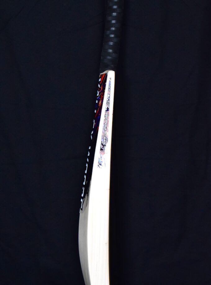 Beast Bat